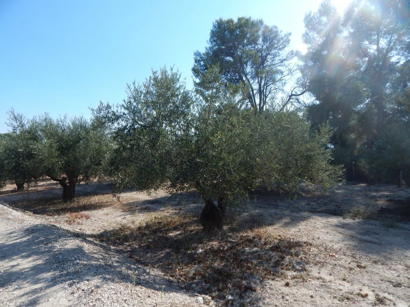 6 sovrum Villa till salu i Ontinyent med pool garage - 250 000 € (Ref: 6192386)
