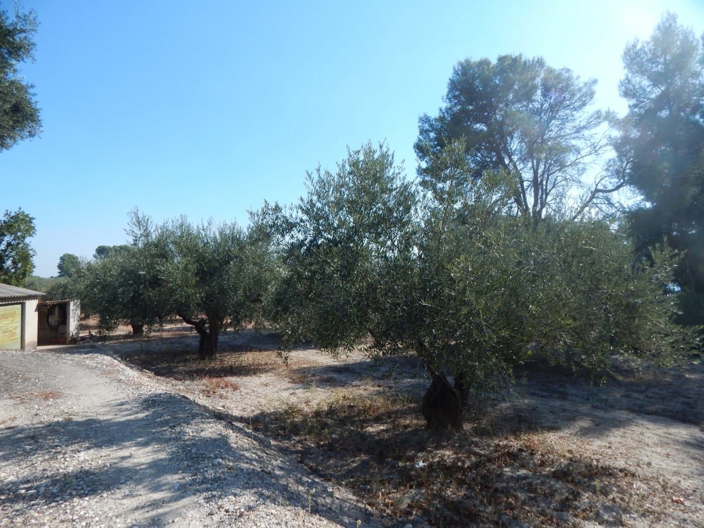 6 sovrum Villa till salu i Ontinyent med pool garage - 250 000 € (Ref: 6192386)