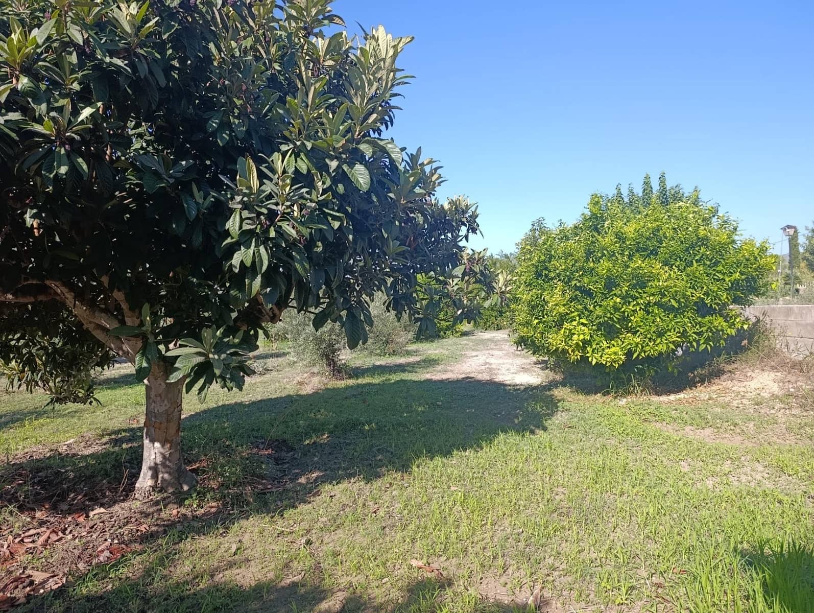 Chalet de 4 habitaciones en Agullent en venta - 280.000 € (Ref: 6192411)