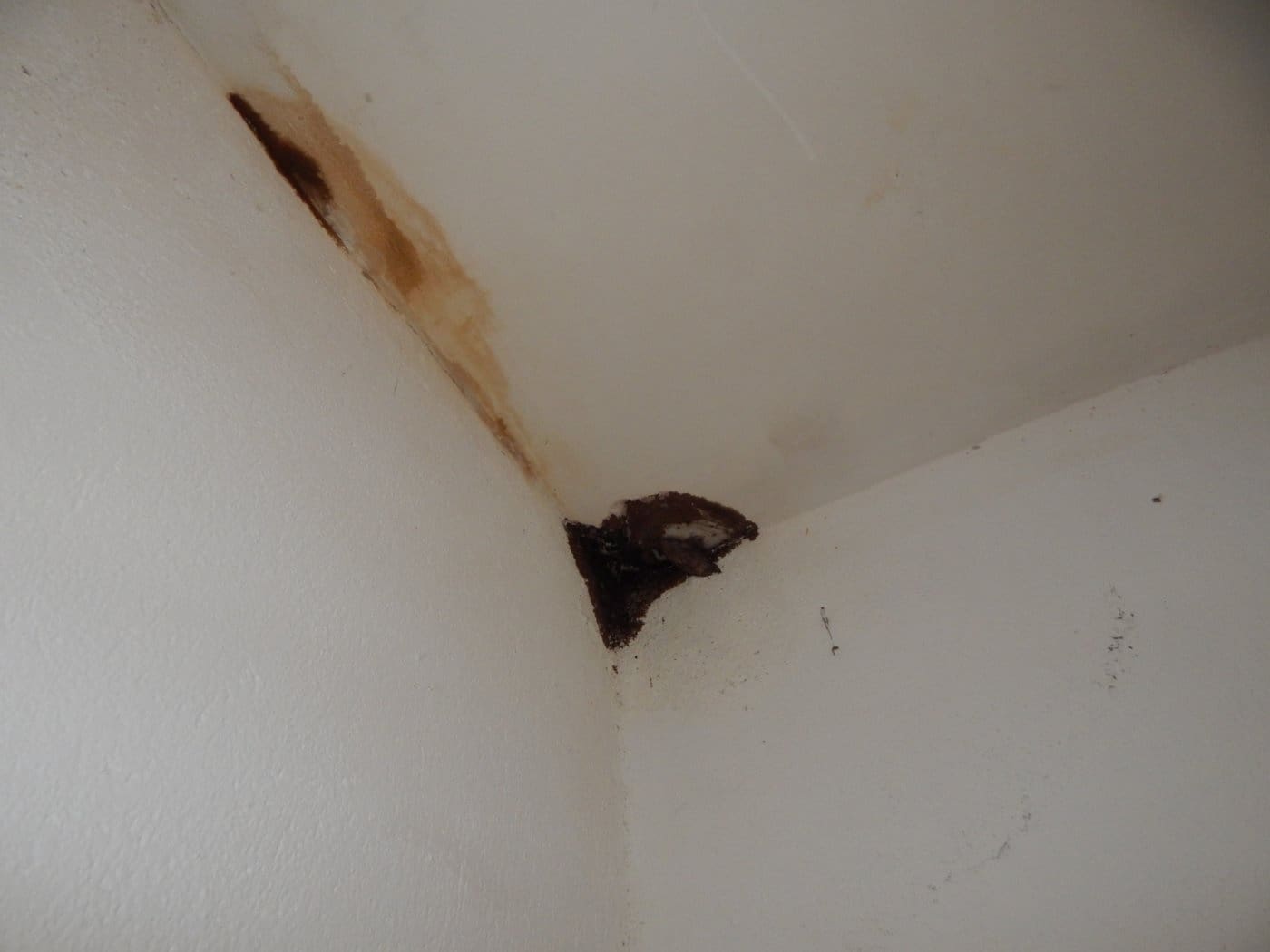 1 soverom Kommersiell til salgs i Ontinyent - € 38 000 (Ref: 6291579)