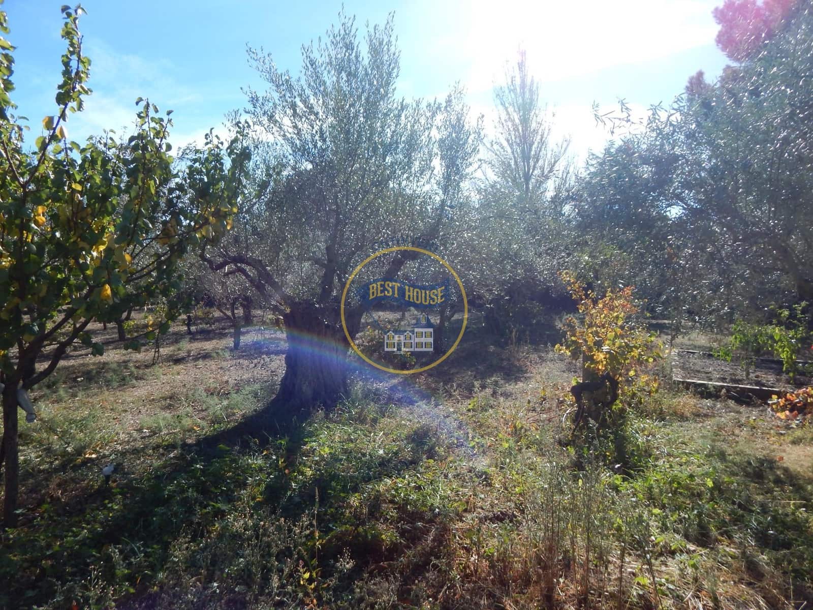 5 sypialnia Willa na sprzedaż w Cocentaina z basenem garażem - 340 000 € (Ref: 7903638)