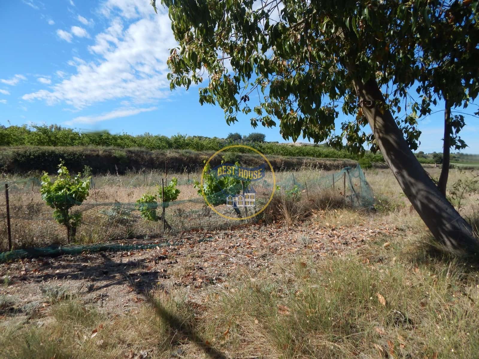 Teren niezagospodarowany na sprzedaż w Agullent - 50 000 € (Ref: 8117818)