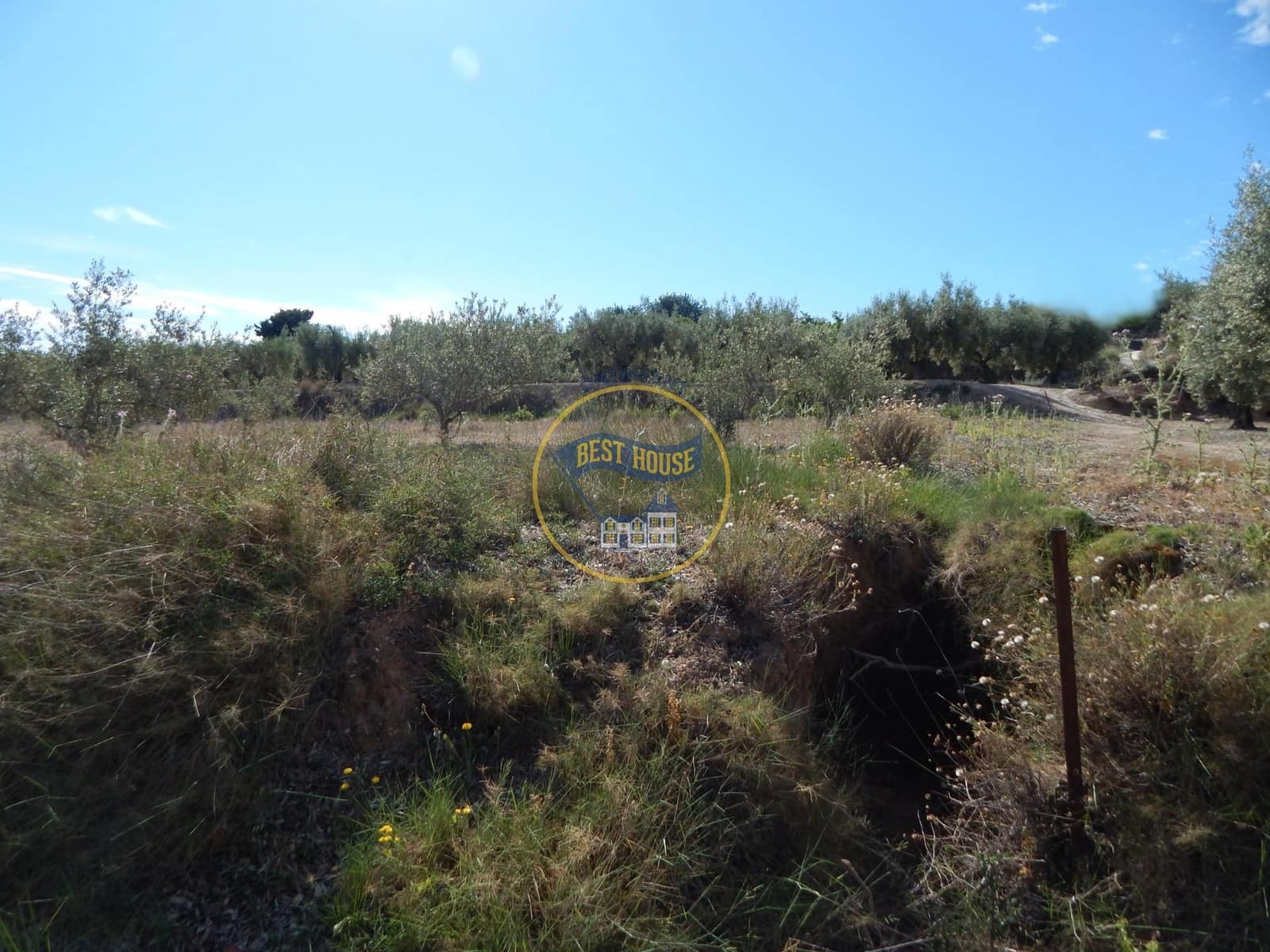 Teren niezagospodarowany na sprzedaż w Agullent - 50 000 € (Ref: 8117818)