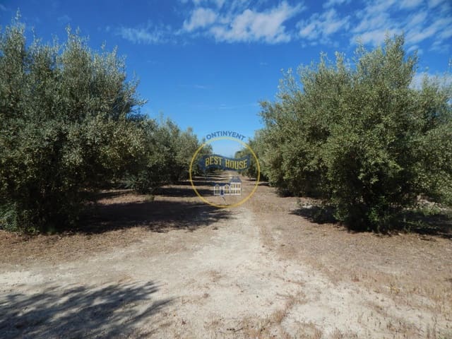 Teren niezagospodarowany na sprzedaż w Agullent - 50 000 € (Ref: 8117818)