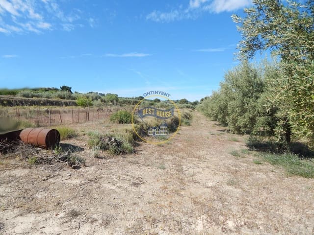Teren niezagospodarowany na sprzedaż w Agullent - 50 000 € (Ref: 8117818)
