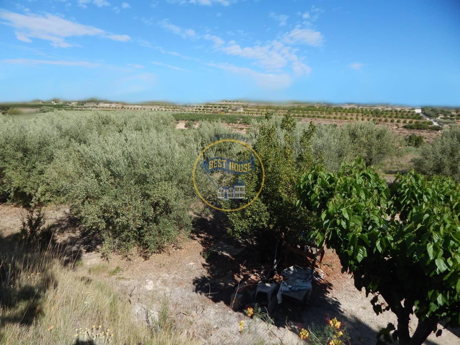 Teren niezagospodarowany na sprzedaż w Agullent - 50 000 € (Ref: 8117818)