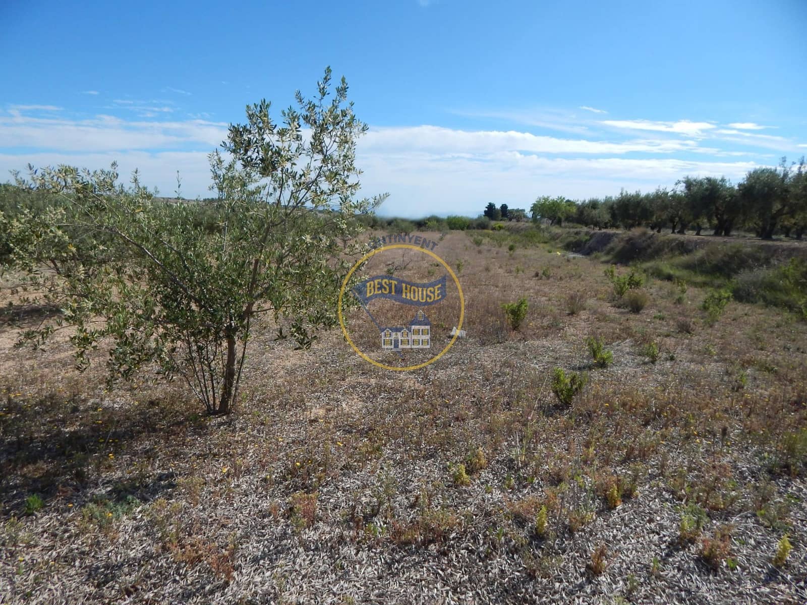 Teren niezagospodarowany na sprzedaż w Agullent - 50 000 € (Ref: 8117818)