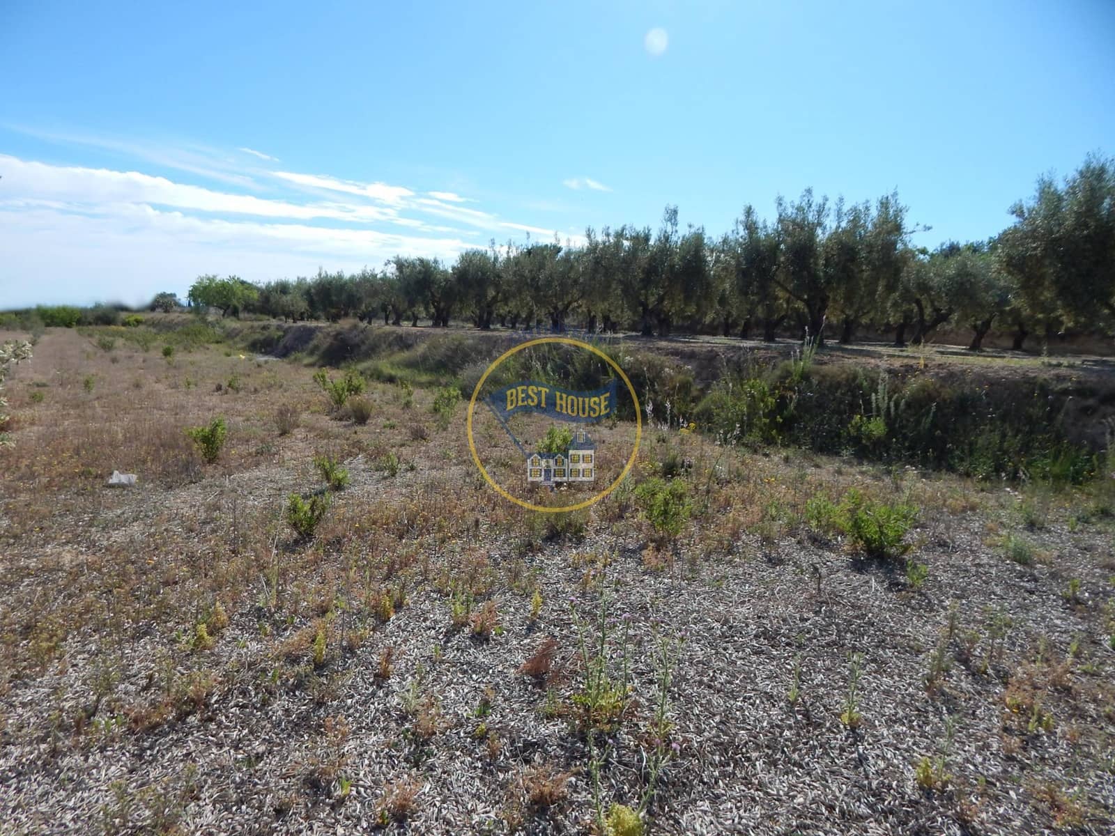 Teren niezagospodarowany na sprzedaż w Agullent - 50 000 € (Ref: 8117818)