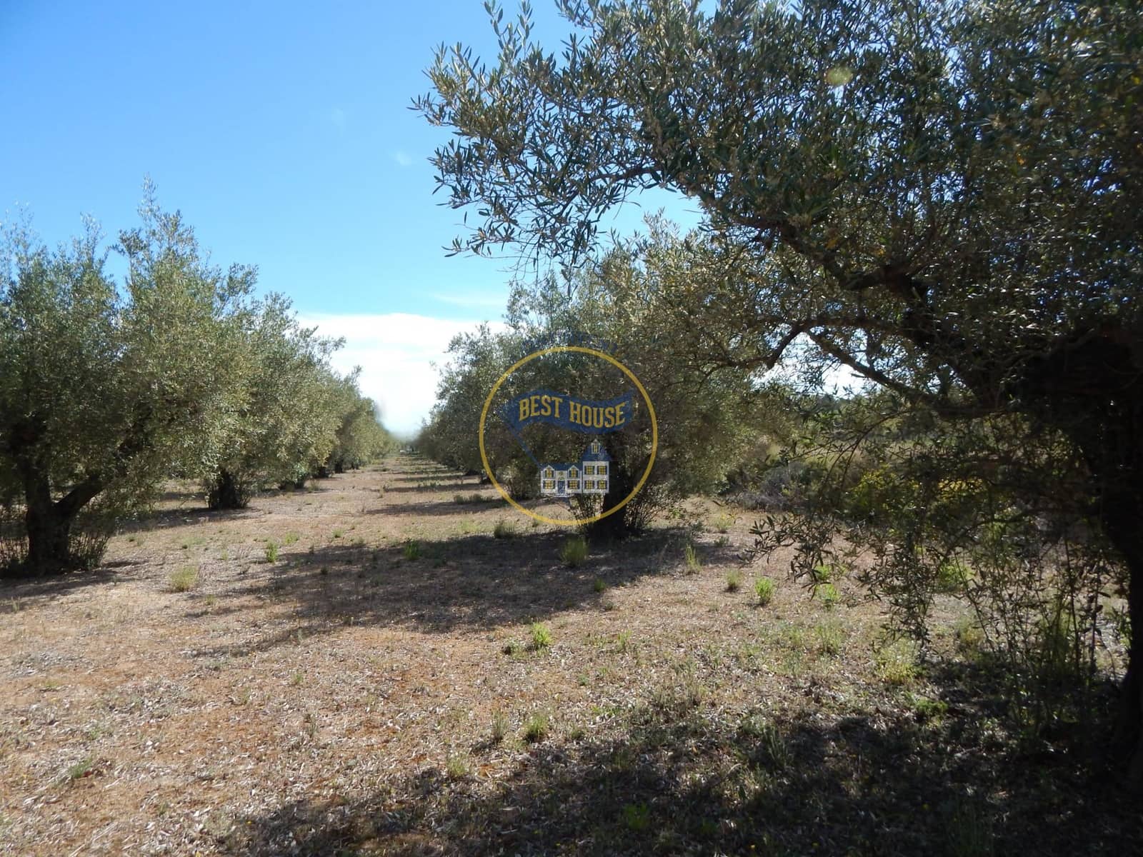 Teren niezagospodarowany na sprzedaż w Agullent - 50 000 € (Ref: 8117818)