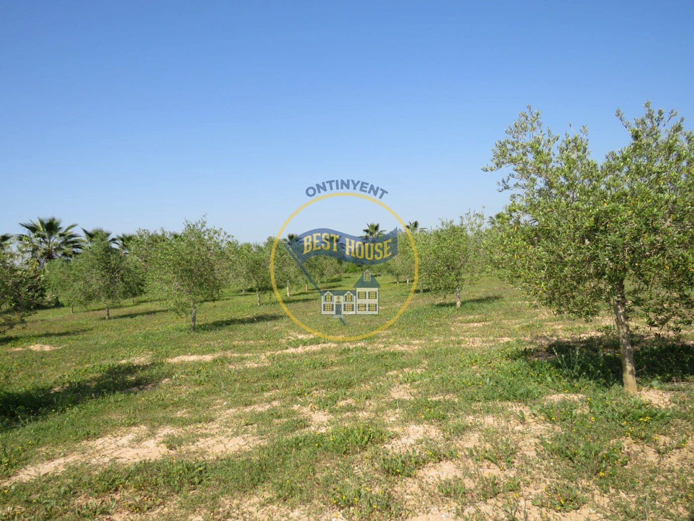 Byggetomt til salgs i Agullent - € 45 000 (Ref: 8117854)