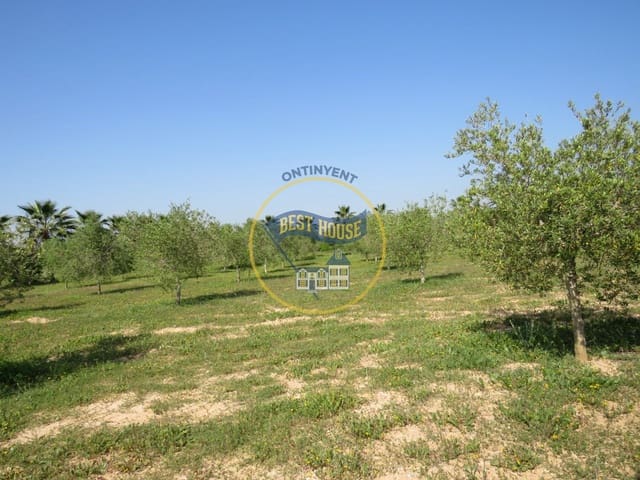 Byggetomt til salgs i Agullent - € 45 000 (Ref: 8117854)