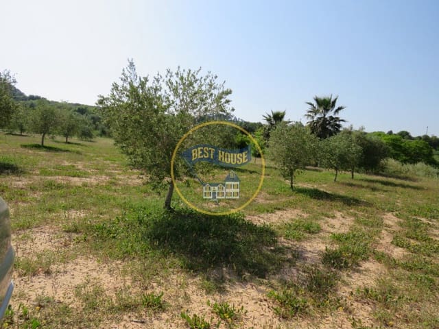 Byggetomt til salgs i Agullent - € 45 000 (Ref: 8117854)