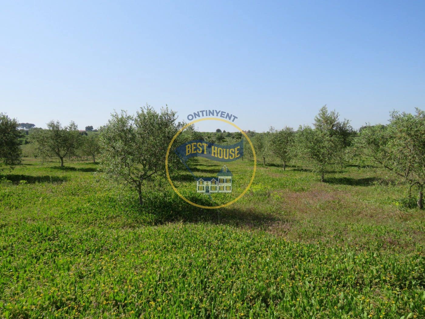 Byggetomt til salgs i Agullent - € 45 000 (Ref: 8117854)