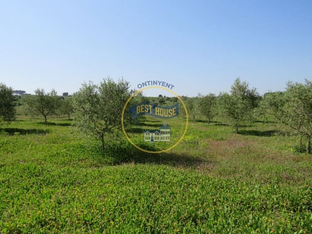 Byggetomt til salgs i Agullent - € 45 000 (Ref: 8117854)