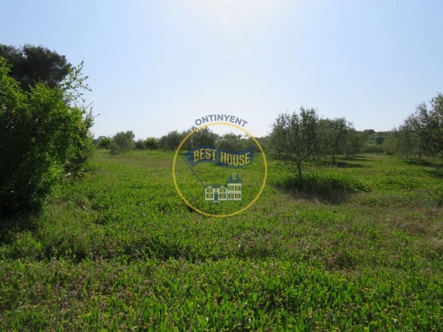 Byggetomt til salgs i Agullent - € 45 000 (Ref: 8117854)