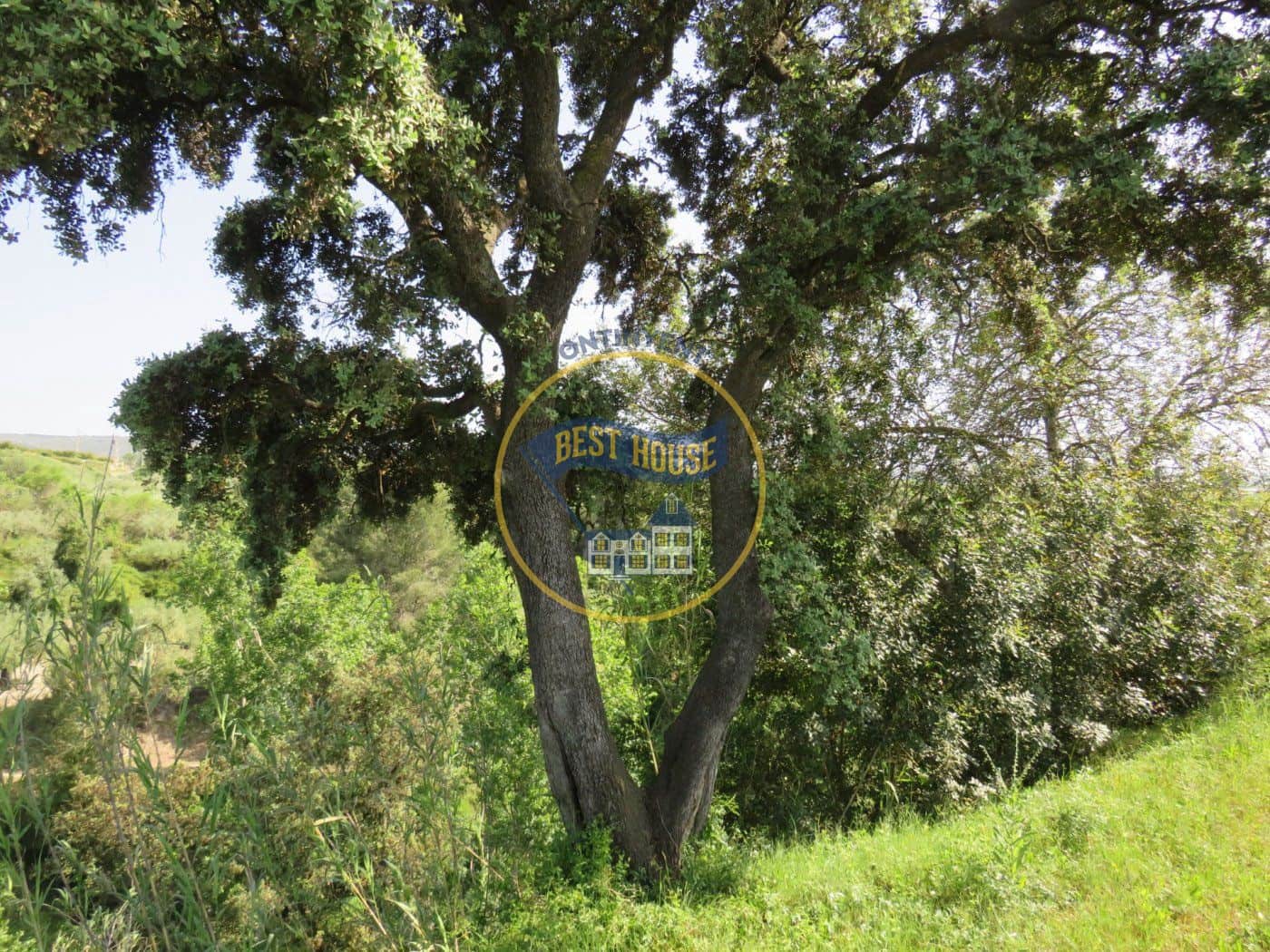 Byggetomt til salgs i Agullent - € 45 000 (Ref: 8117854)