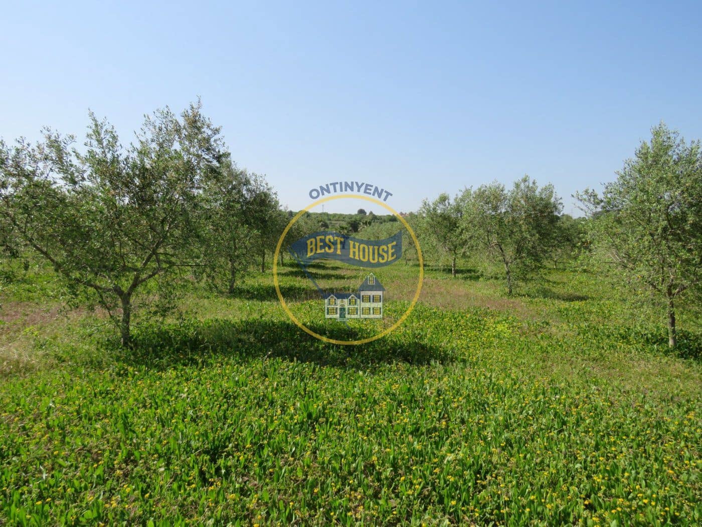 Byggetomt til salgs i Agullent - € 45 000 (Ref: 8117854)