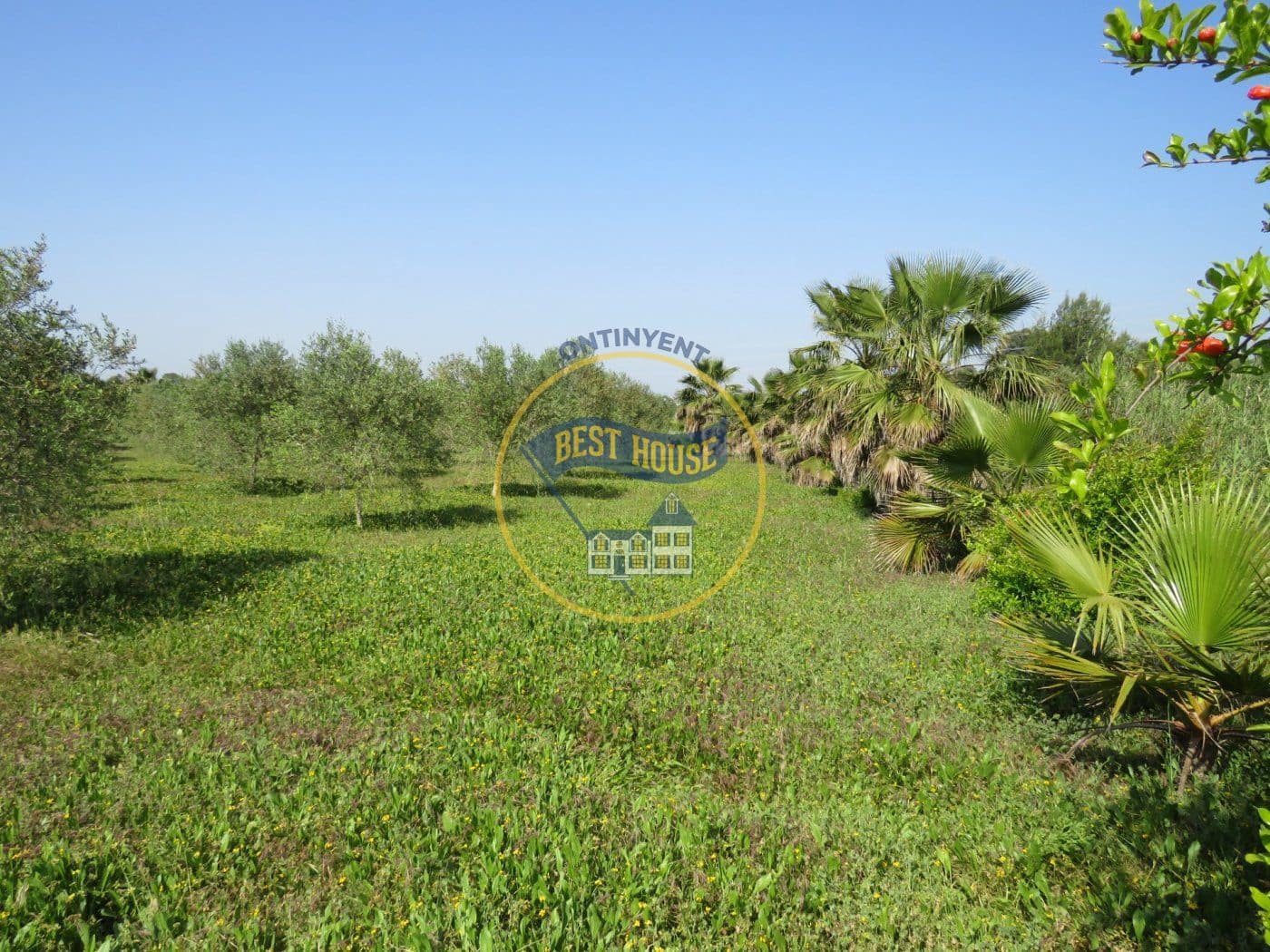 Byggetomt til salgs i Agullent - € 45 000 (Ref: 8117854)