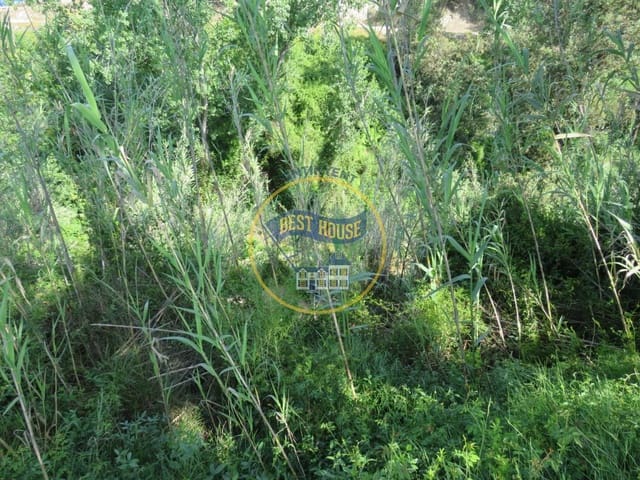 Byggetomt til salgs i Agullent - € 45 000 (Ref: 8117854)