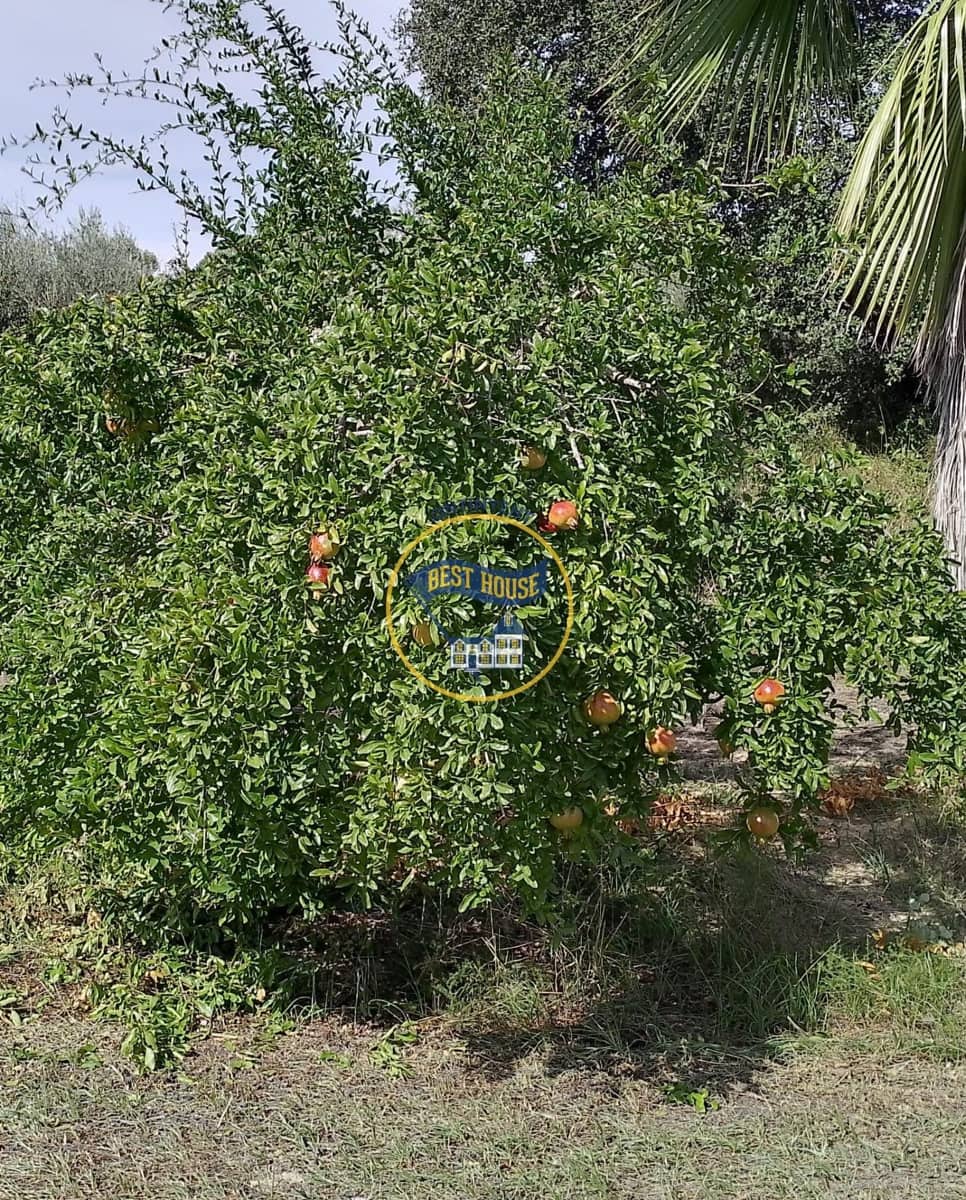 Tomt till salu i Agullent - 40 000 € (Ref: 8117854)