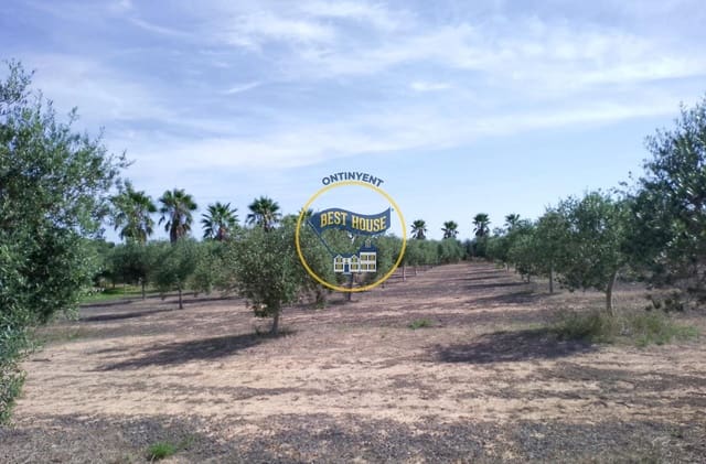 Building Plot for sale in Agullent - € 40,000 (Ref: 8117854)