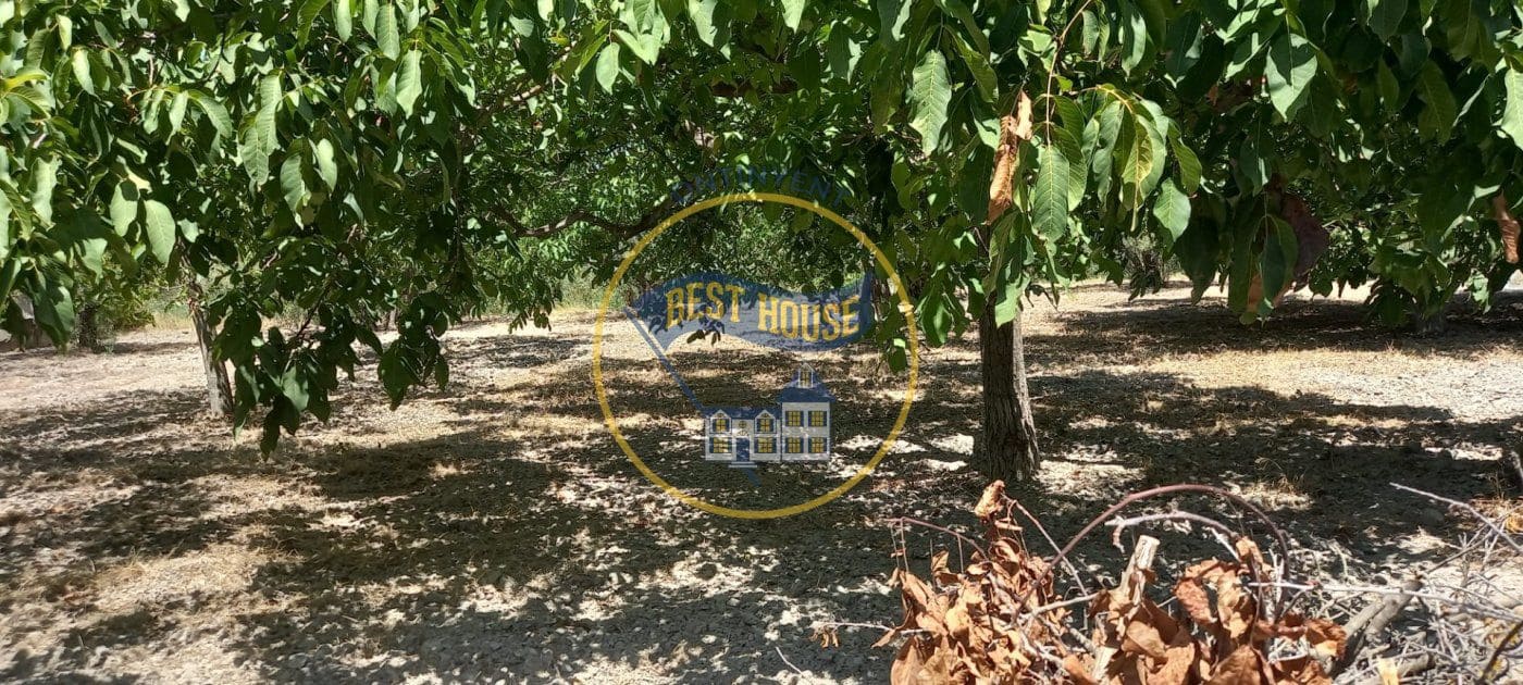 Business for sale in Ontinyent - € 120,000 (Ref: 8117870)