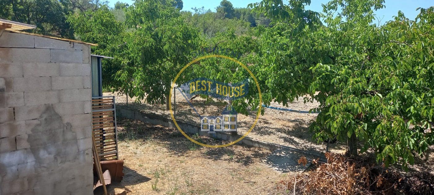 Business for sale in Ontinyent - € 120,000 (Ref: 8117870)