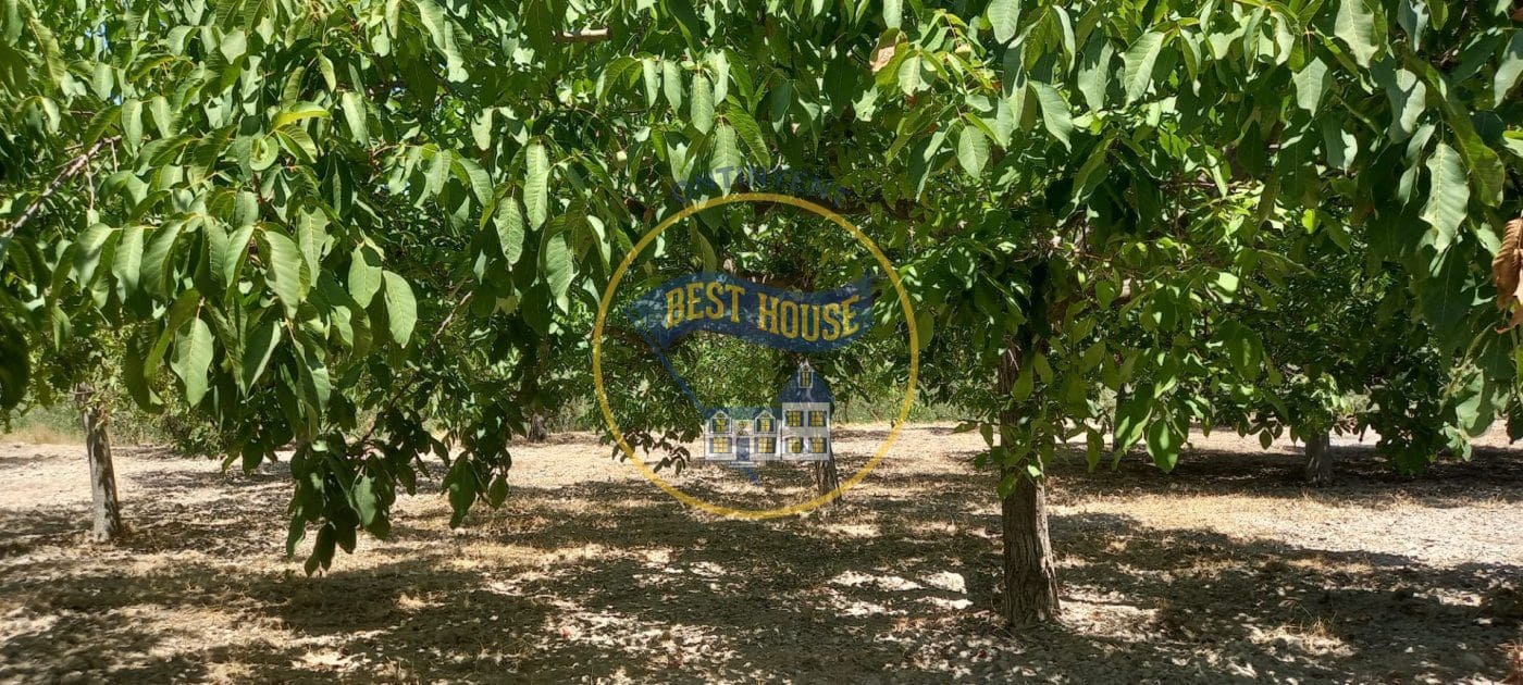 Business for sale in Ontinyent - € 120,000 (Ref: 8117870)