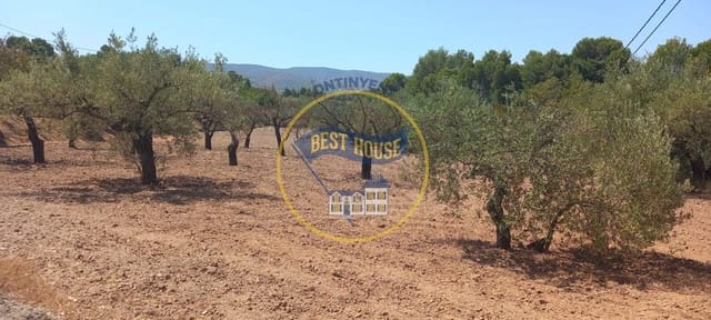 Business for sale in Ontinyent - € 120,000 (Ref: 8117870)