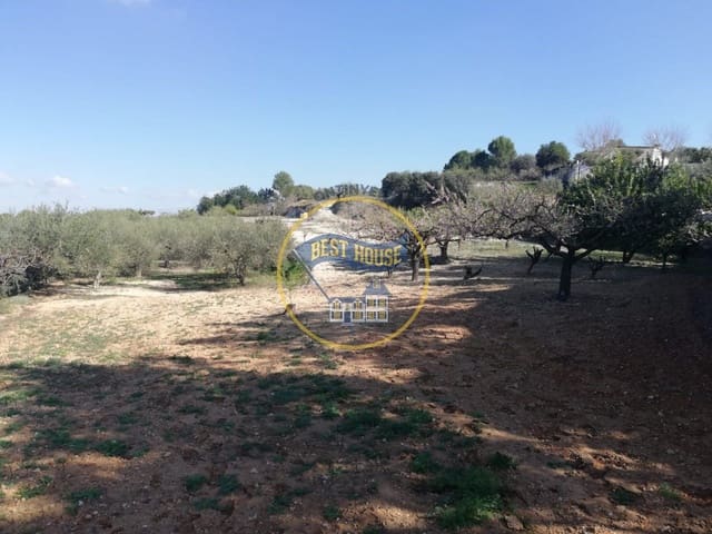 Undeveloped Land for sale in Ontinyent - € 38,000 (Ref: 8117923)