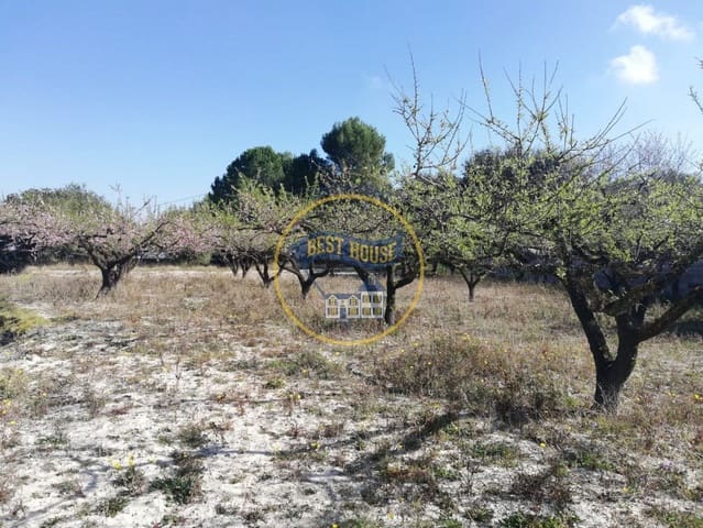 Undeveloped Land for sale in Ontinyent - € 38,000 (Ref: 8117923)