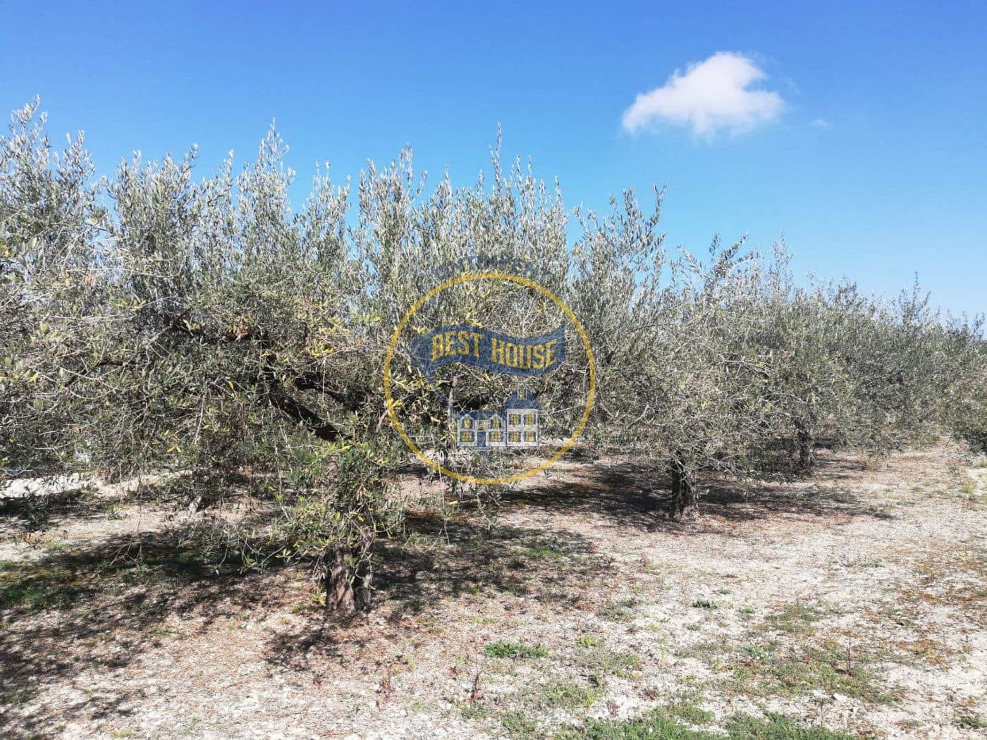 Ubebygd land til salgs i Ontinyent - € 38 000 (Ref: 8117923)