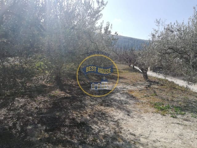 Undeveloped Land for sale in Ontinyent - € 38,000 (Ref: 8117923)