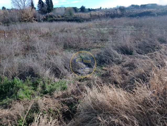 Undeveloped Land for sale in Ontinyent - € 10,000 (Ref: 8117955)
