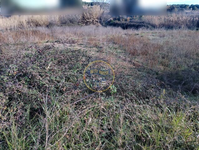 Undeveloped Land for sale in Ontinyent - € 10,000 (Ref: 8117955)