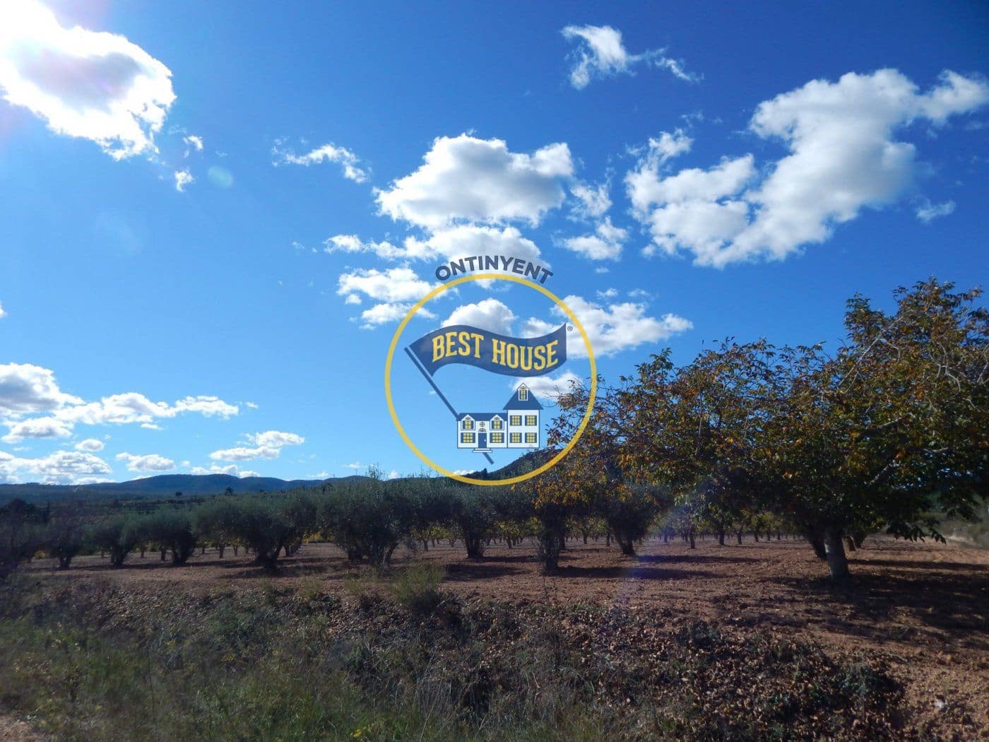 Grunde uden byggetilladelser til salg i Ontinyent - € 75.000 (Ref: 8117964)