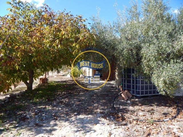 Undeveloped Land for sale in Ontinyent - € 75,000 (Ref: 8117964)