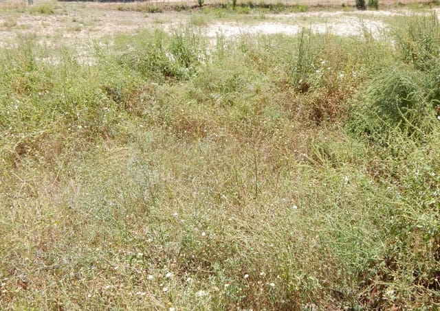 Terreno para Construção para venda em Aielo de Malferit - 100 000 € (Ref: 8118006)
