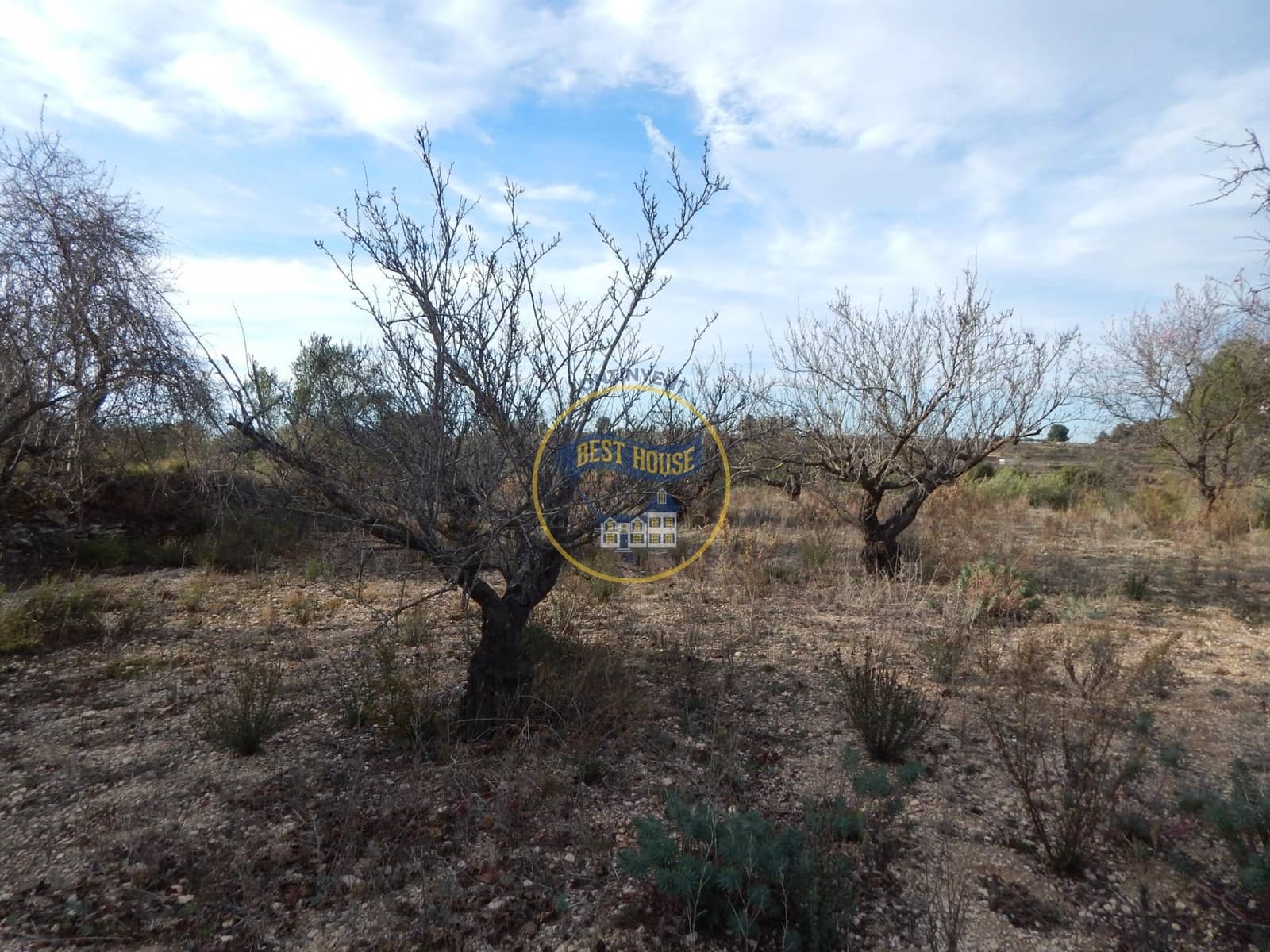 Byggetomt til salgs i Albaida - € 27 500 (Ref: 8131060)