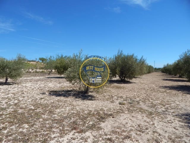 Building Plot for sale in Agullent - € 45,000 (Ref: 8287001)