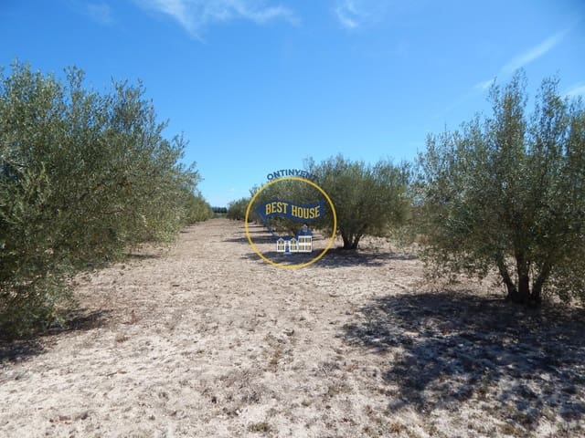 Building Plot for sale in Agullent - € 45,000 (Ref: 8287001)