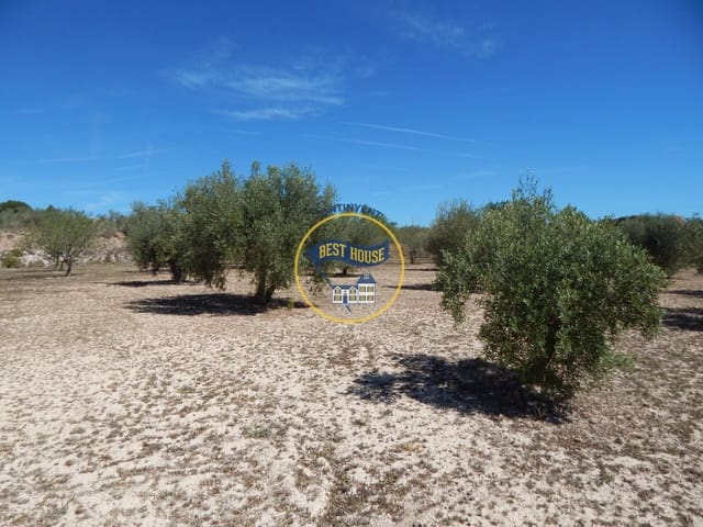 Building Plot for sale in Agullent - € 45,000 (Ref: 8287001)