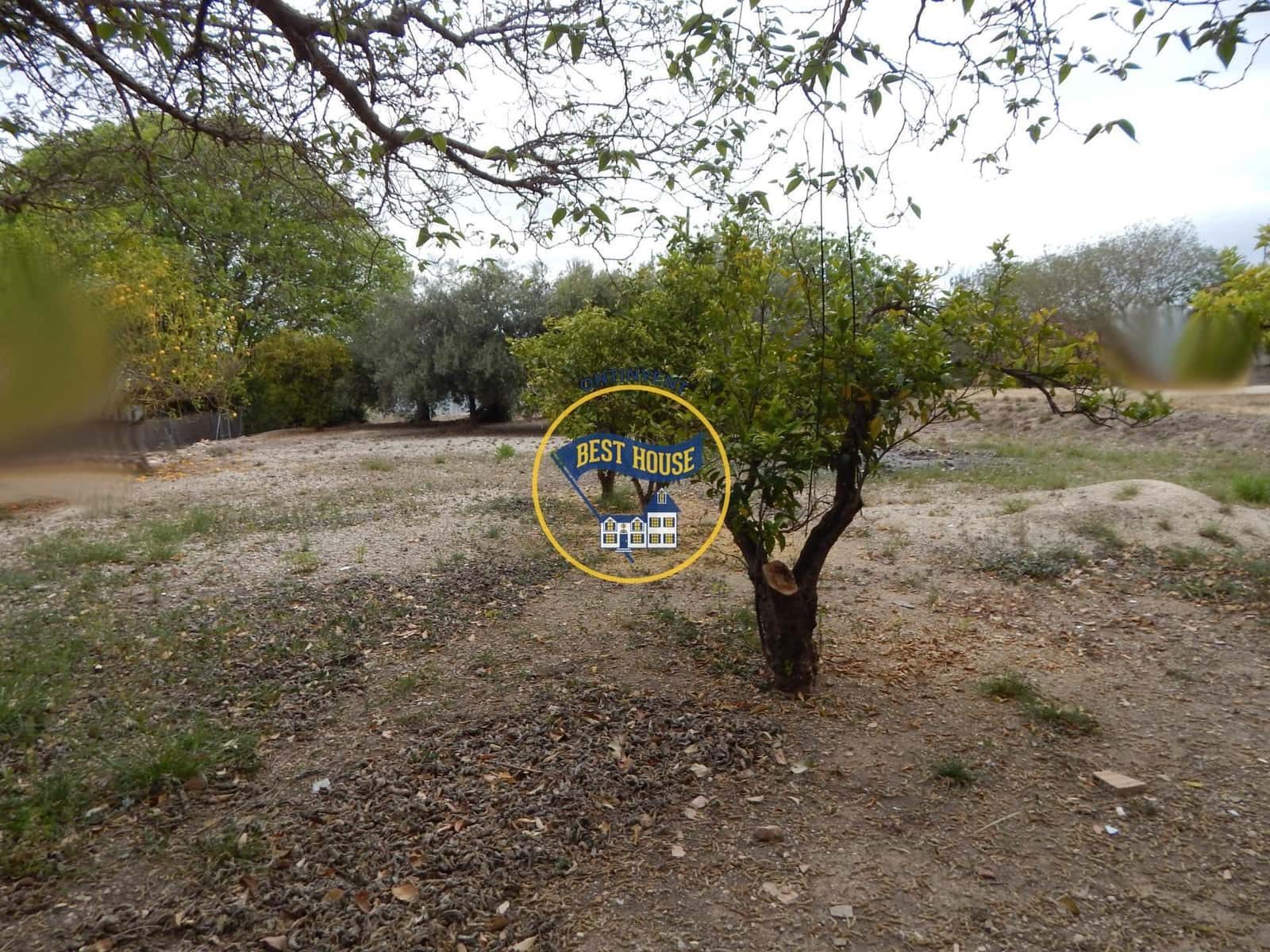 6 bedroom Villa for sale in Ontinyent - € 200,000 (Ref: 8300505)