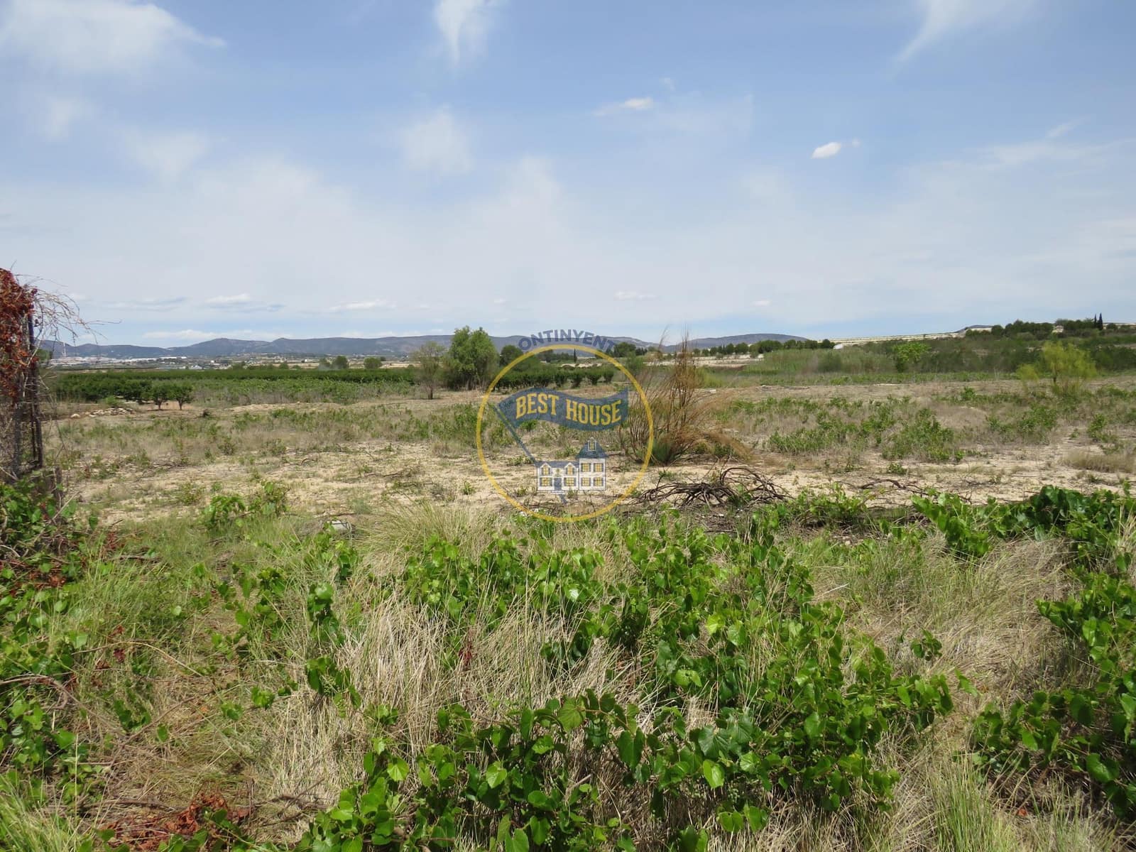 Negocio en Bèlgida en venta - 420.000 € (Ref: 8385373)