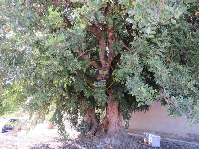 2 bedroom Business for sale in Ontinyent - € 100,000 (Ref: 8554124)