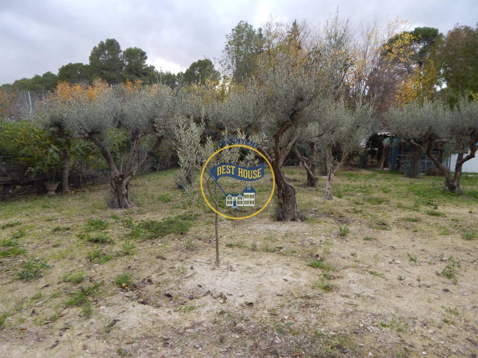 3 bedroom Villa for sale in Ontinyent - € 145,000 (Ref: 8698196)