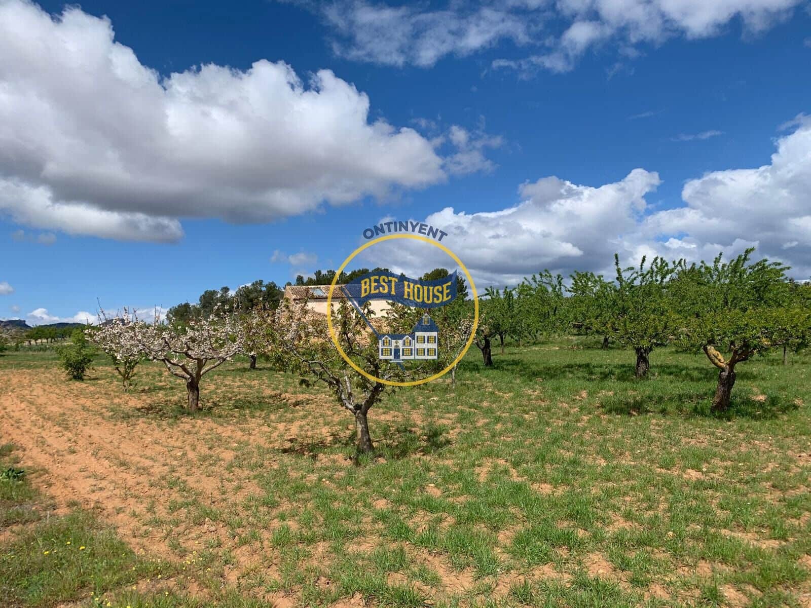 5 Zimmer Finca/Landgut zu verkaufen in La Font de la Figuera - 109.000 € (Ref: 8921485)