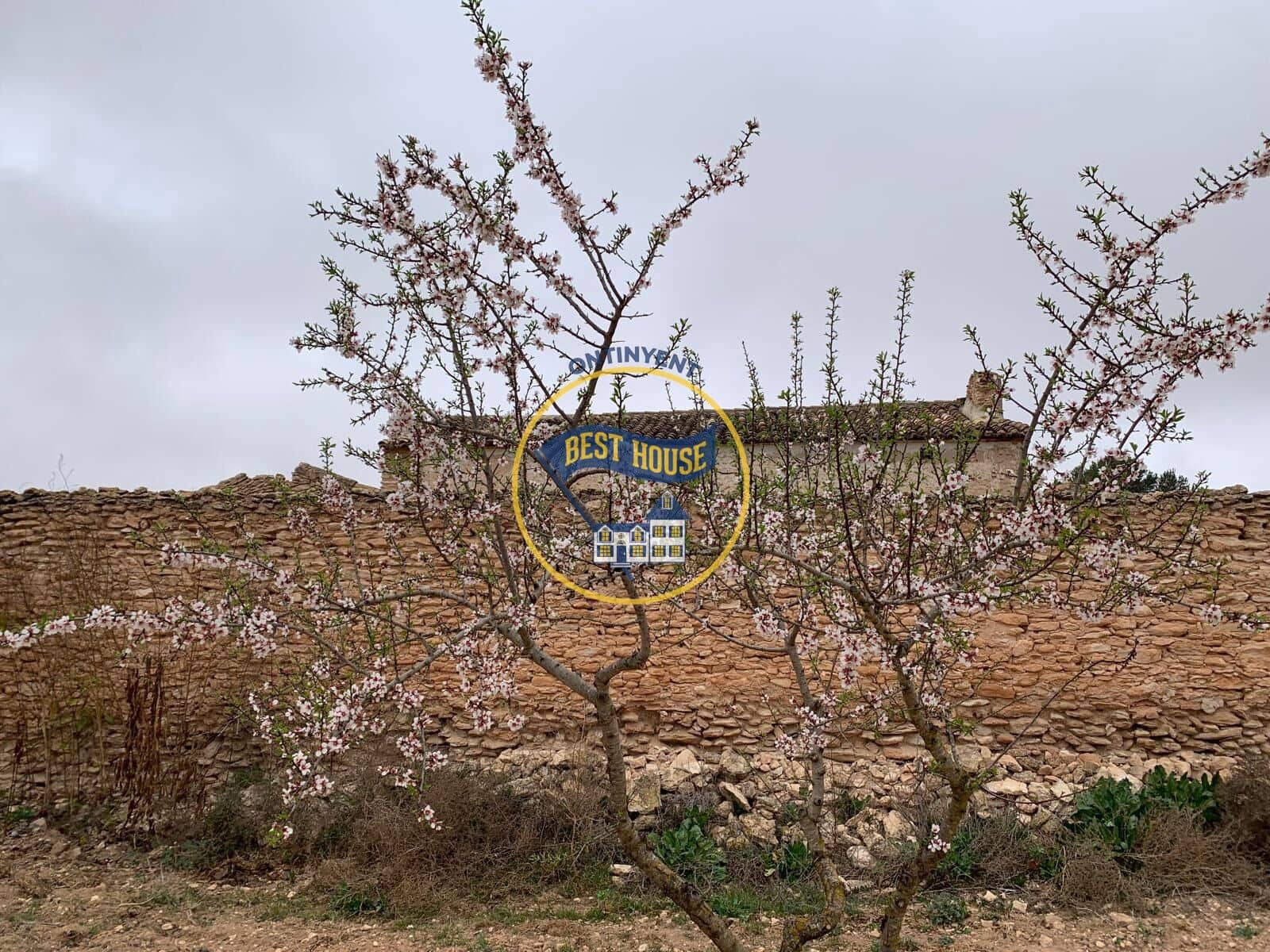 5 Zimmer Finca/Landgut zu verkaufen in La Font de la Figuera - 109.000 € (Ref: 8921485)