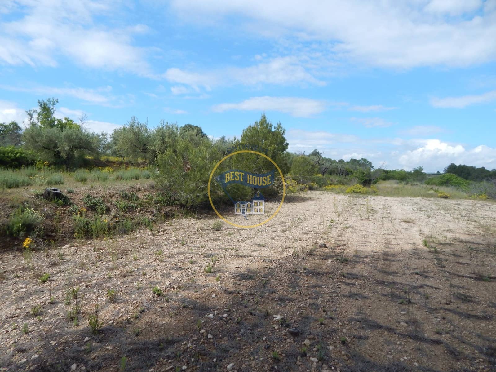 Ubebygd land til salgs i Belgida - € 28 000 (Ref: 8979488)