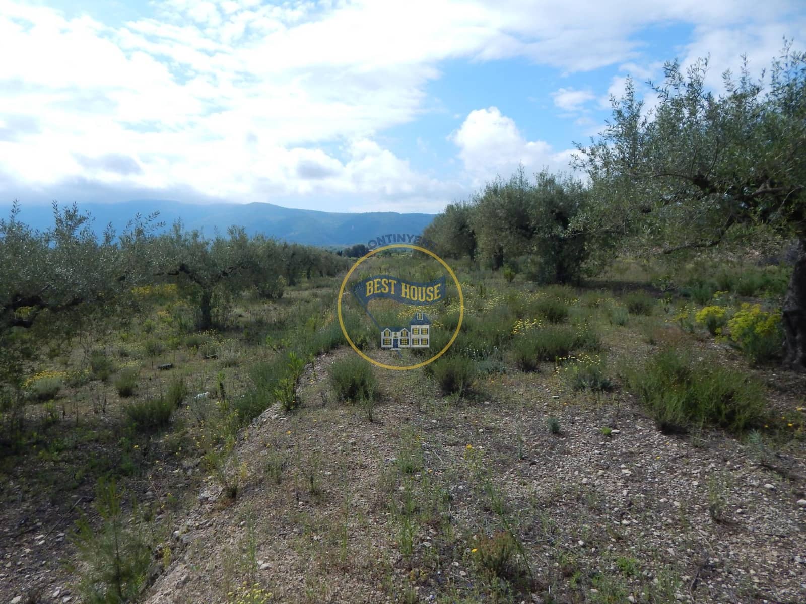 Ubebygd land til salgs i Belgida - € 28 000 (Ref: 8979488)